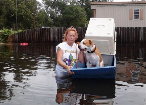 Villalobos dog rescue - VILLALOBOS RESCUE CENTER - 82 Photos & 63 Reviews - 4525 N Galvez St, New Orleans, Louisiana - Animal Shelters - Phone …